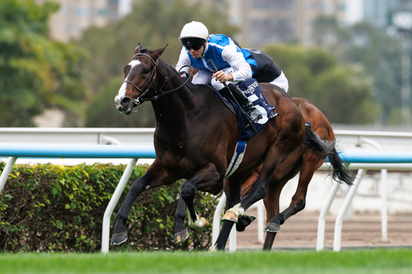 ソジー,ⒸSPAIA（撮影：三木俊幸）