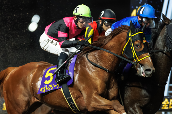 ベストグリーン,ⒸSPAIA（撮影：三木俊幸）