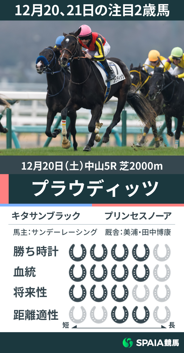 12月20、21日の注目2歳馬,ⒸSPAIA（撮影：三木俊幸）
