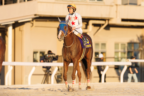 2025年東京大賞典2着ミッキーファイト,ⒸSPAIA（撮影：三木俊幸）