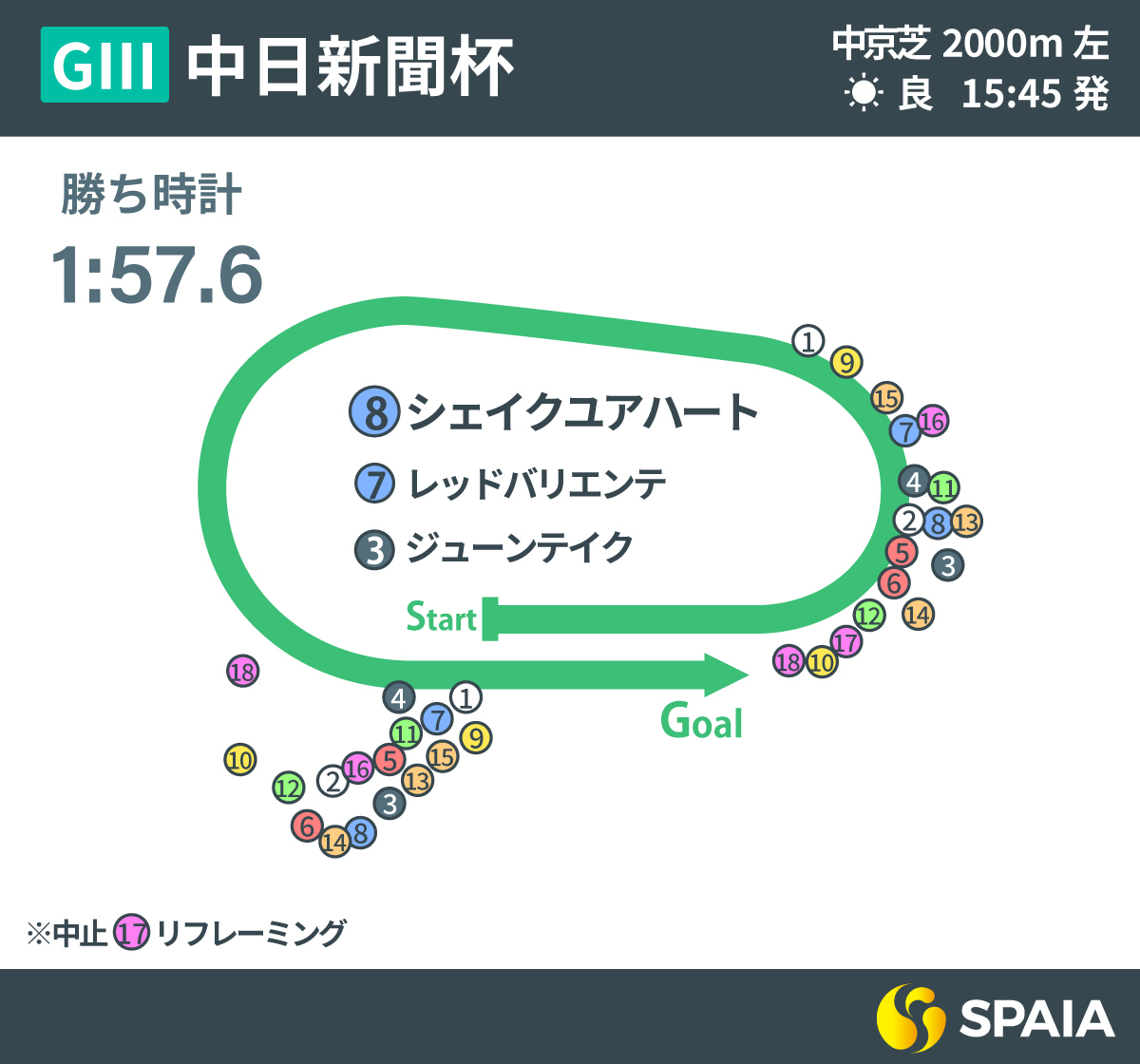 2025年中日新聞杯、レース回顧,ⒸSPAIA