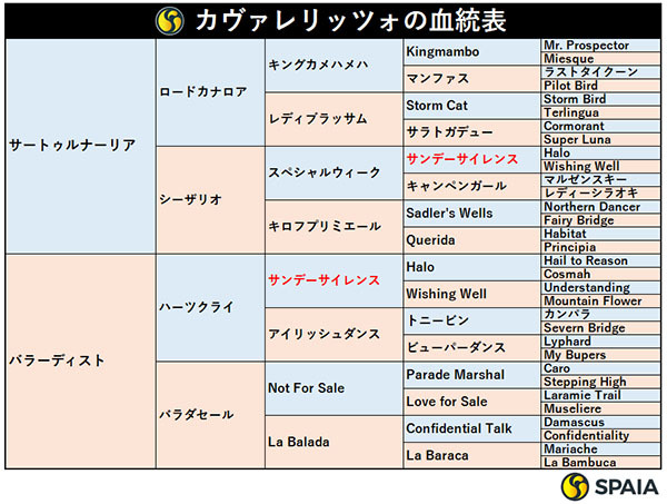 カヴァレリッツォの血統表,ⒸSPAIA