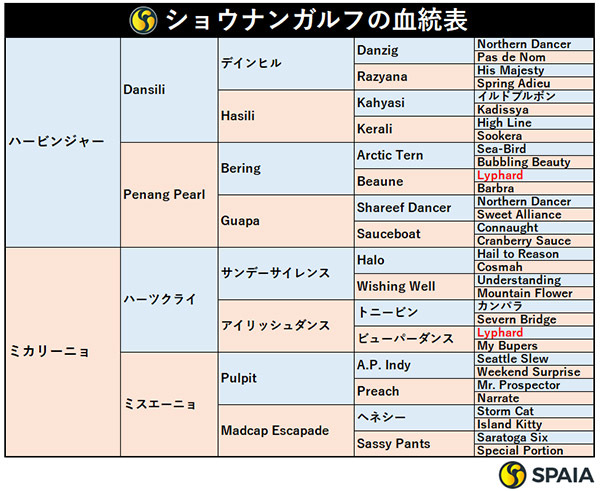 ショウナンガルフの血統表,ⒸSPAIA