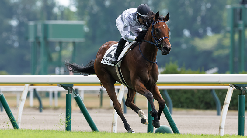 【シンザン記念】前走芝1600mの「新馬」「牝馬限定未勝利」組が狙い目　アルトラムスとディアダイヤモンドはいずれも前走好内容