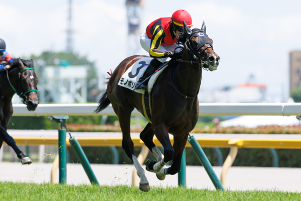 モノポリオ,ⒸSPAIA