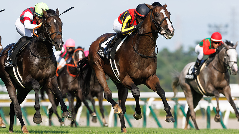 【日経新春杯】2年連続連対中の菊花賞組はゲルチュタールに注目　中日新聞杯からはファミリータイムに巻き返しの余地あり
