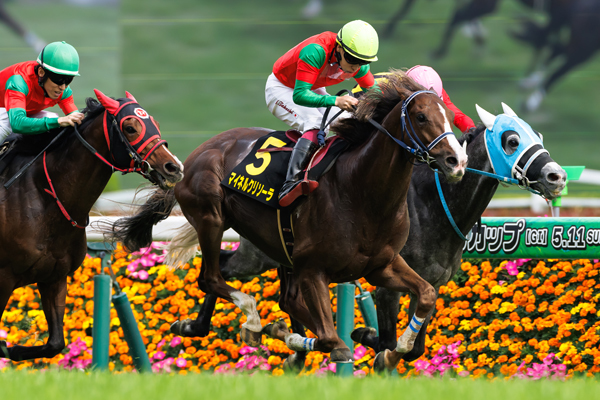 マイネルクリソーラ,ⒸSPAIA