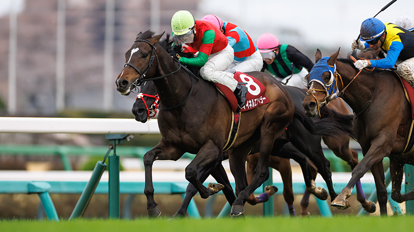 【AJCC】単回513%誇る有馬記念組、今年はマイネルエンペラーが出走　菊花賞組はジョバンニの巻き返しに期待