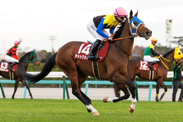 チャックネイト,ⒸSPAIA