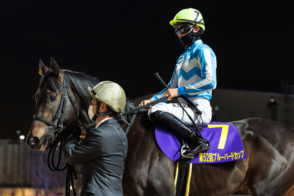 2026年ブルーバードC2着カタリテ,ⒸSPAIA（撮影：三木俊幸）