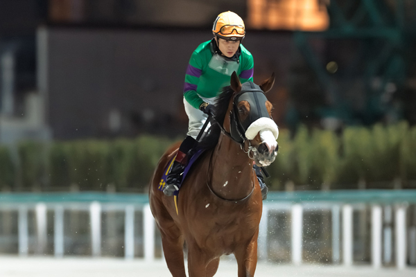 2026年ブルーバードC3着チャーリー,ⒸSPAIA（撮影：三木俊幸）