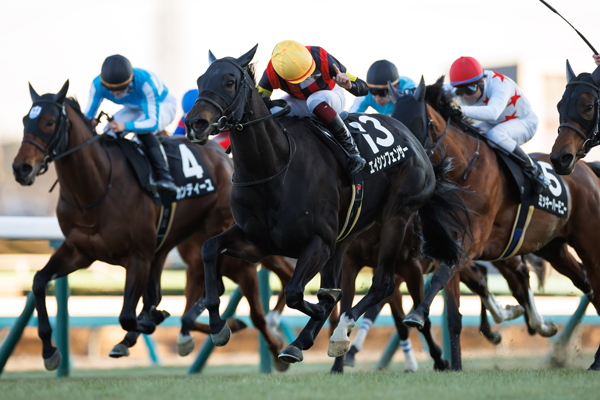 エイシンフェンサー,ⒸSPAIA