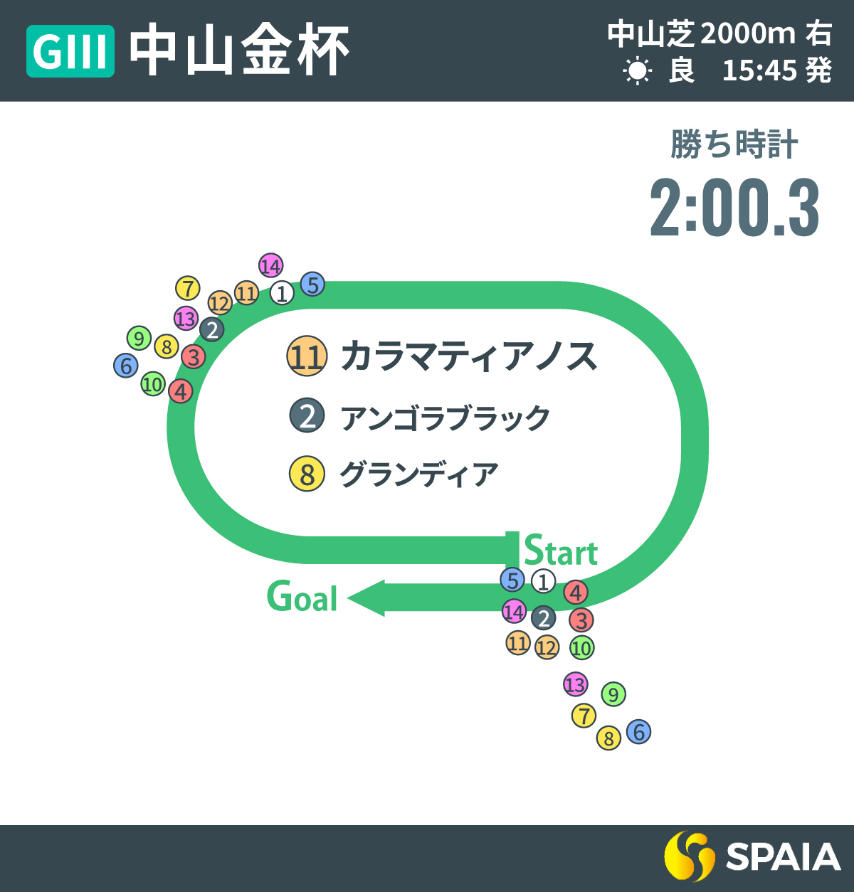 2026年中山金杯、レース回顧,ⒸSPAIA