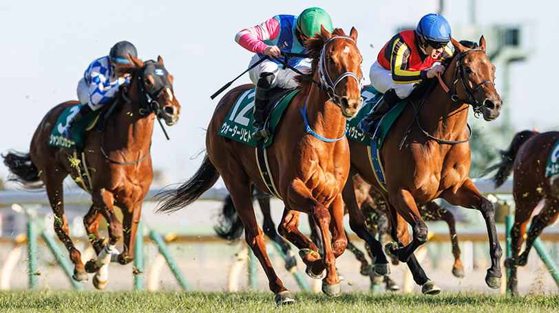 【東京新聞杯】好相性のマイルCS組は連覇狙うウォーターリヒトに注目　適距離に戻るエルトンバローズの巻き返しも