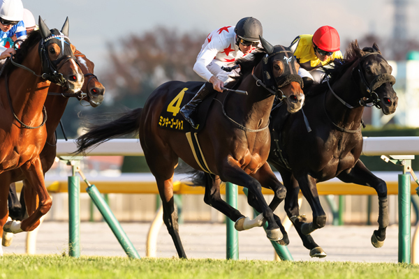 ミッキーゴージャス,ⒸSPAIA