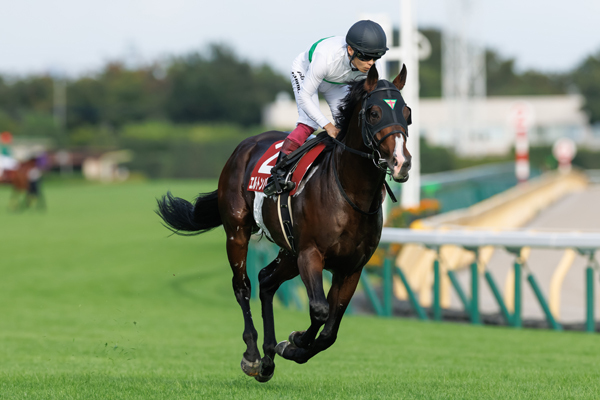 エルトンバローズ,ⒸSPAIA