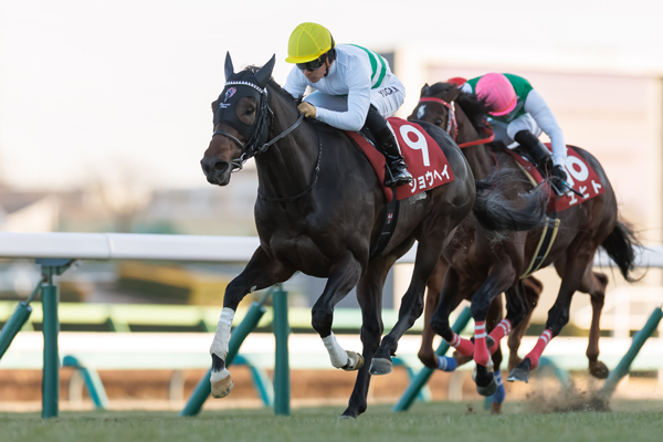 AJCCを制したショウヘイと川田将雅騎手,ⒸSPAIA（撮影：三木俊幸）