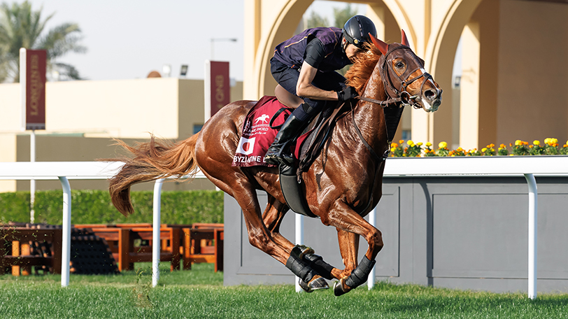 【アミールT】海外重賞3勝目ねらうビザンチンドリーム　坂口師「予定通り順調」