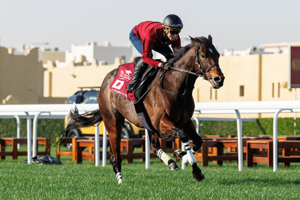 サトノグランツ,ⒸSPAIA(撮影：三木俊幸)