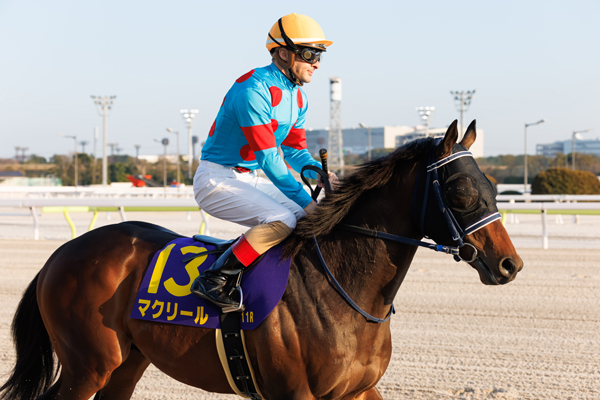 2026年雲取賞3着のマクリール,ⒸSPAIA（撮影：三木俊幸）