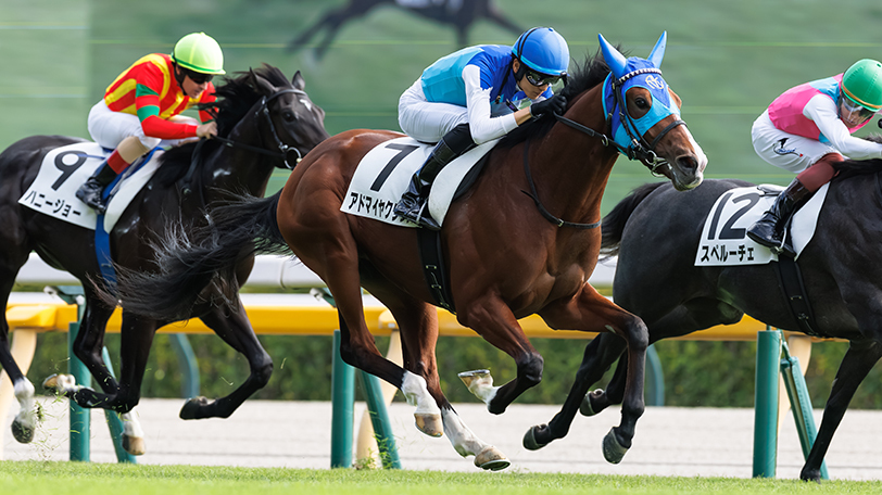 【弥生賞】複勝率80%の朝日杯FSからアドマイヤクワッズが出走　東スポ杯上位組も要注目