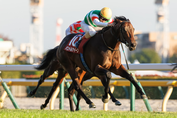 パントルナイーフ,ⒸSPAIA（撮影：三木俊幸）