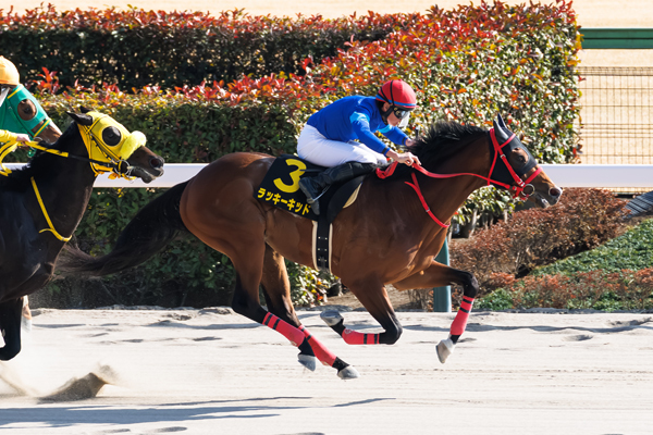 ラッキーキッド,ⒸSPAIA（撮影：三木俊幸）