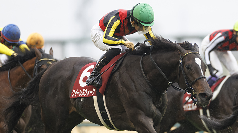 【金鯱賞】クイーンズウォークら好メンバー集結　白富士S組ヴィレム、キングズパレスは要警戒