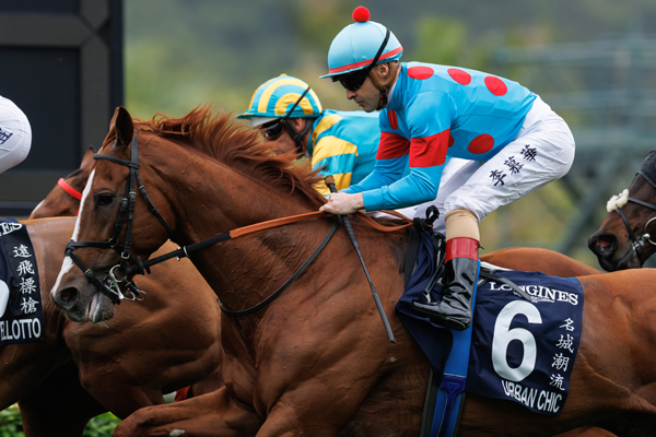 アーバンシック,ⒸSPAIA（撮影：三木俊幸）