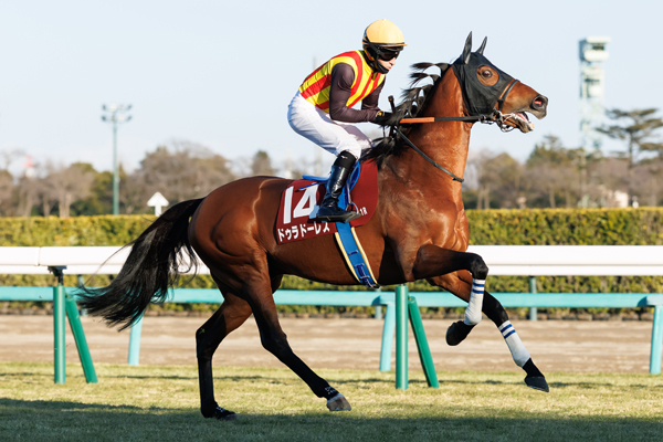 ドゥラドーレス,ⒸSPAIA（撮影：三木俊幸）