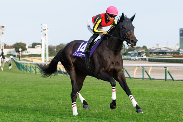 クイーンズウォーク,ⒸSPAIA（撮影：三木俊幸）