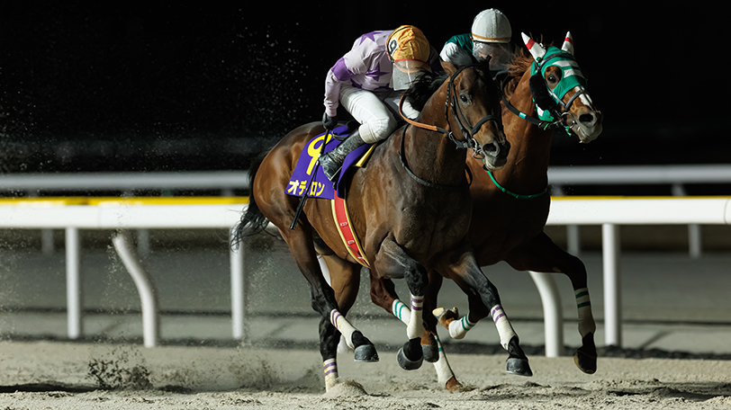 【ダイオライト記念回顧】兵庫所属のオディロンが差し切りV　3連覇を狙ったセラフィックコールは2着