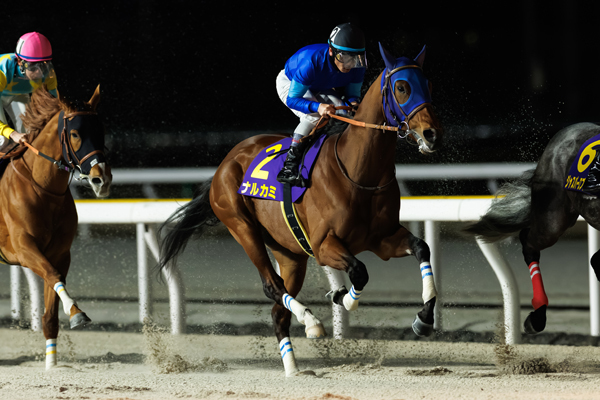 2026年ダイオライト記念5着のナルカミ,ⒸSPAIA（撮影：三木俊幸）