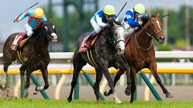 【阪神大賞典】有馬記念組が過去10年で4勝　注目はアドマイヤテラ