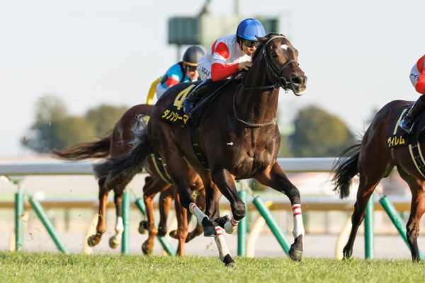 ダノンシーマ,ⒸSPAIA（撮影：三木俊幸）