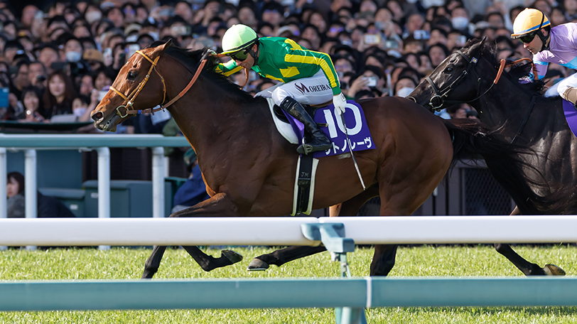 【高松宮記念】香港スプリント組の3連覇なるか　サトノレーヴ、ウインカーネリアンが参戦