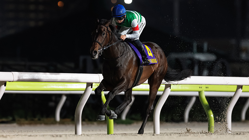 【京浜盃回顧】ロックターミガンが3馬身差完勝　西村淳也騎手「JpnⅠに向けて非常に楽しみな内容」