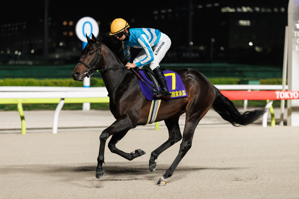 2026年京浜盃3着カタリテ,ⒸSPAIA（撮影：三木俊幸）