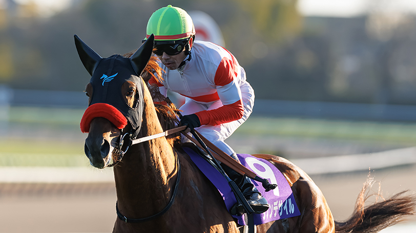 ダノンデサイル,ⒸSPAIA（撮影：三木俊幸）