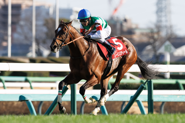 レーベンスティール,ⒸSPAIA（撮影：三木俊幸）