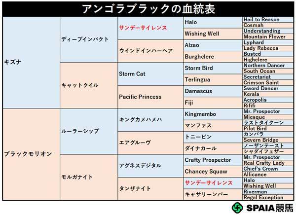 アンゴラブラックの血統表,ⒸSPAIA