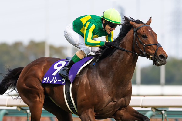 高松宮記念を制したサトノレーヴ,ⒸSPAIA（撮影：三木俊幸）