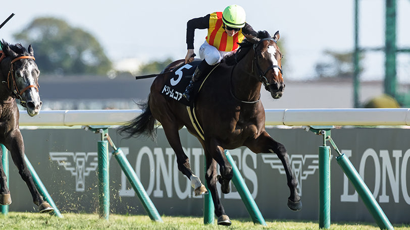 スターアニス,ⒸSPAIA(撮影:三木俊幸)