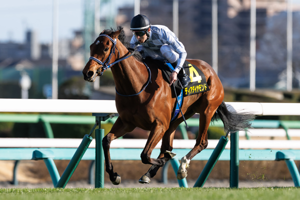 ディアダイヤモンド,ⒸSPAIA(撮影:三木俊幸)