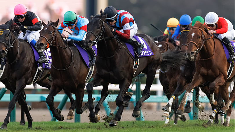 【皐月賞】共同通信杯組は単回220%　GⅠ馬ロブチェンの巻き返しに注目