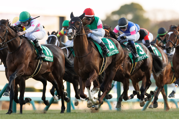 グリーンエナジー,ⒸSPAIA（撮影：三木俊幸）