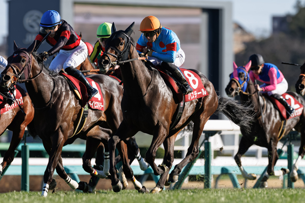 バステール,ⒸSPAIA（撮影：三木俊幸）