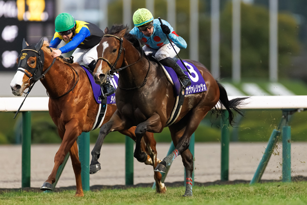 カヴァレリッツォ,ⒸSPAIA（撮影：三木俊幸）