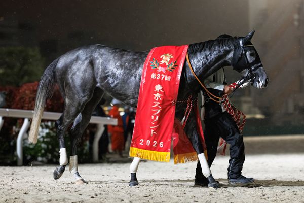 ドラゴンウェルズ,ⒸSPAIA（撮影：三木俊幸）