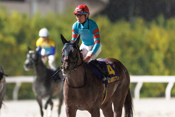 ヤマニンチェルキ,ⒸSPAIA（撮影：三木俊幸）